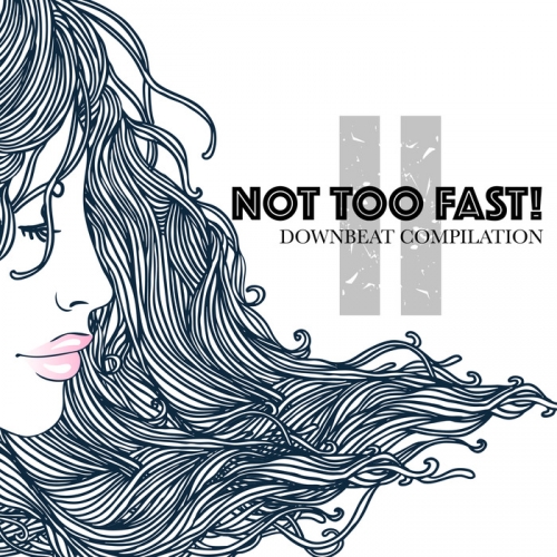 VA - Not Too Fast! 2/Downbeat Compilation  (2016)