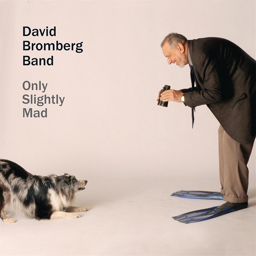 David Bromberg Band - Only Slightly Mad (2013)