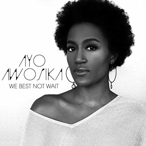 Ayo Awosika - We Best Not Wait (2016)