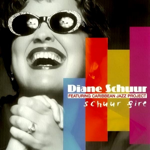Diane Schuur - Schuur Fire (2005)