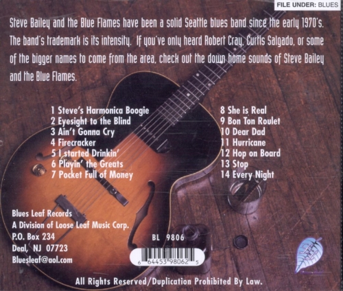Steve Bailey & The Blue Flames - Hop On Board (2002)