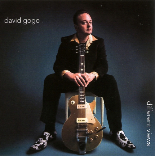 David Gogo - Different Views (2009) 320/Lossless