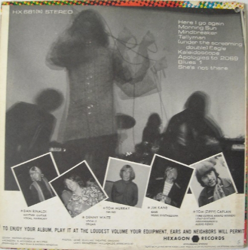 The Litter ‎– $100 Fine (1968) Vinyl
