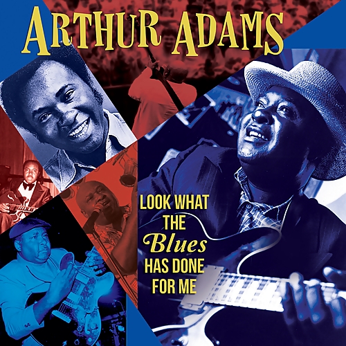 Arthur Adams - Look What the Blues Has Done For Me (2017) [FLAC]