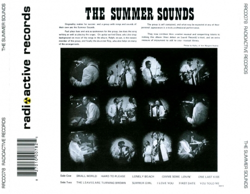 The Summer Sounds - Up-Down (Reissue) (1969/2004)