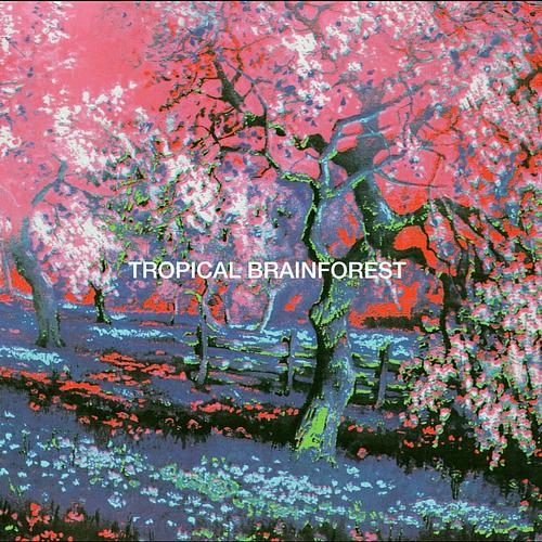 Percewood's Onagram - Tropical Brainforest (Reissue, Remastered) (1972/2003)