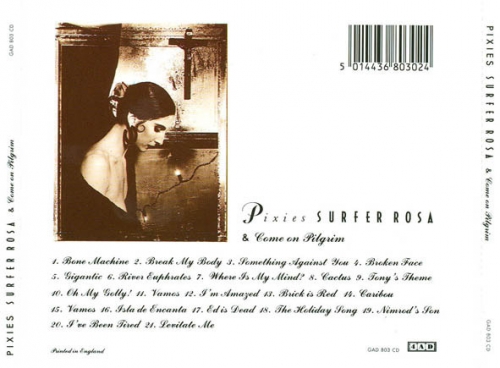 Pixies - Surfer Rosa & Come On Pilgrim (Reissue, Remastered, Bonus Tracks) (1988)