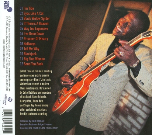 Joe Louis Walker - Between A Rock And The Blues (2009)