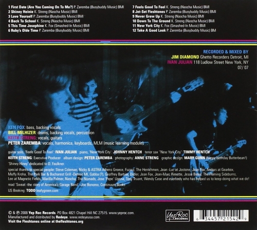 The Fleshtones - Take A Good Look (2007)