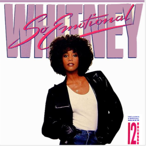 Whitney Houston - Сollection (12inch Vinyl) (1987-1993)