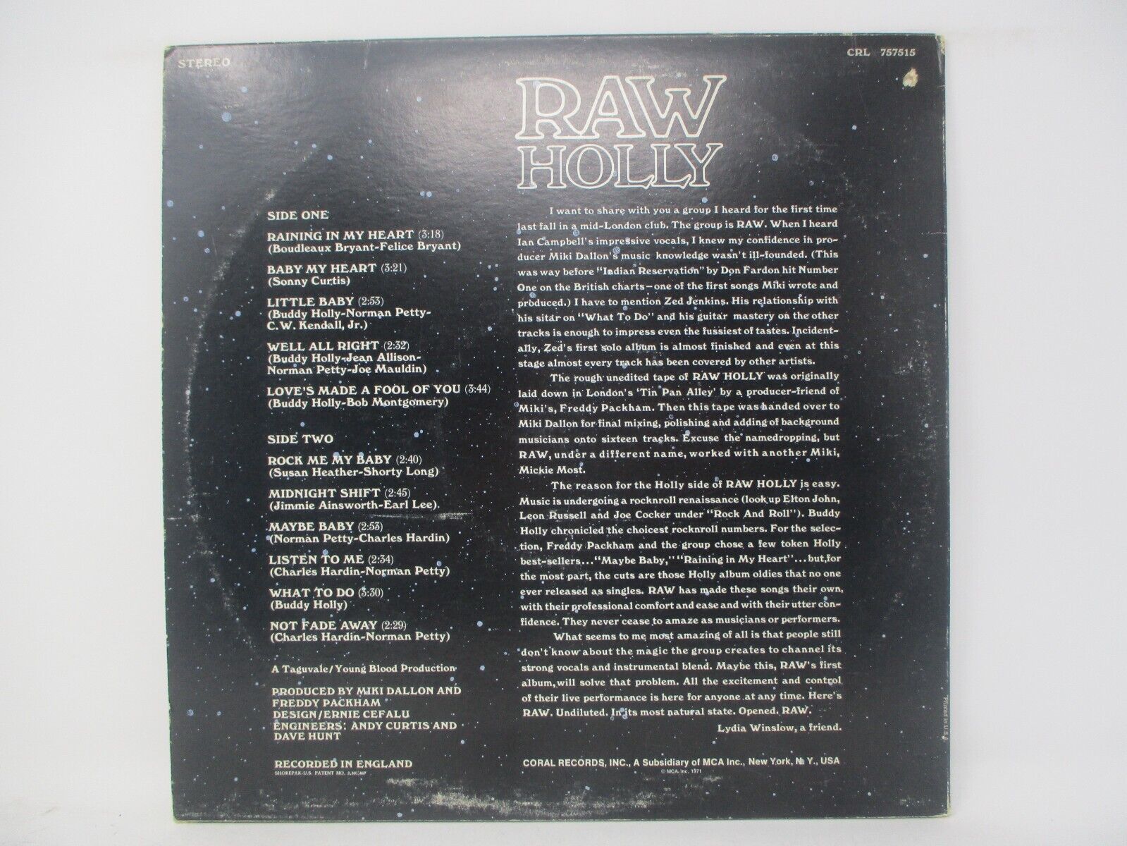 Raw Holly - Raw Holly (2022)