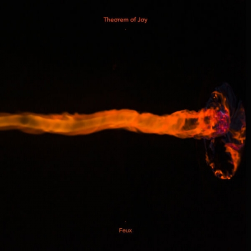 Theorem of joy - Feux (2025) [Hi-Res]