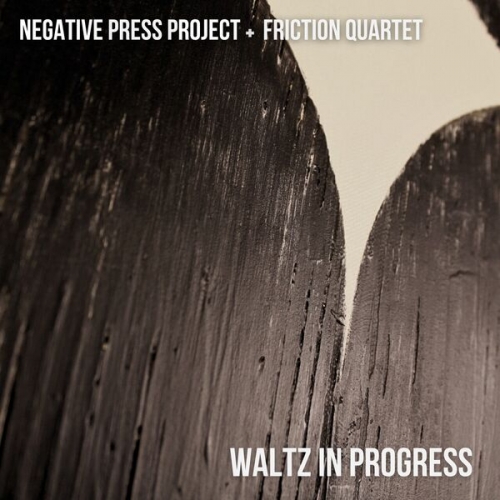 Negative Press Project - Waltz In Progress (2025) [Hi-Res]