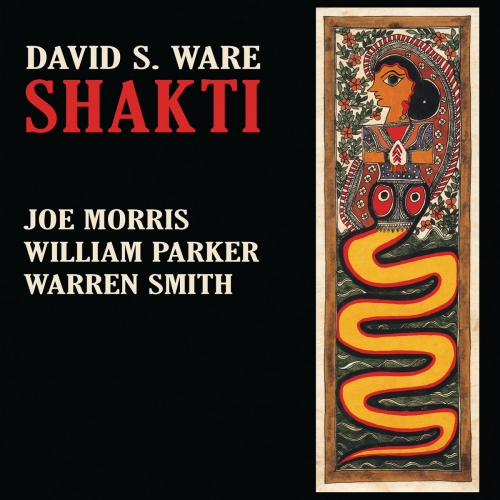 David S. Ware - Shakti (2009)