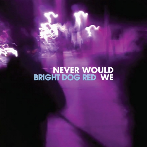 Bright Dog Red - Never Would We (2025) [Hi-Res]