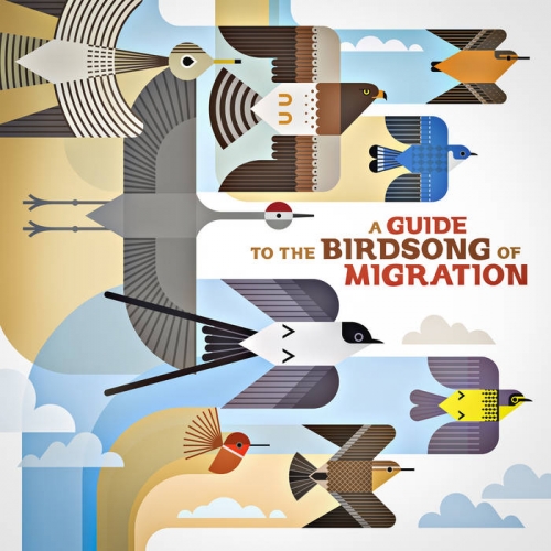 Various Artists - A Guide to the Birdsong of Migration (2025)