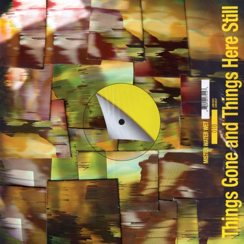 Mister Water Wet - Things Gone and Things Here Still (2025) [Hi-Res]