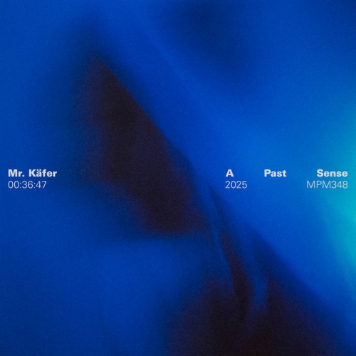 Mr. Käfer - A Past Sense (2025) [Hi-Res]