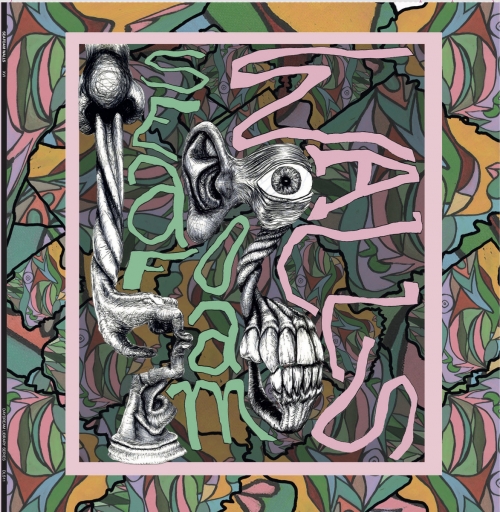 Seafoam Walls - XVi (2021) [Hi-Res]