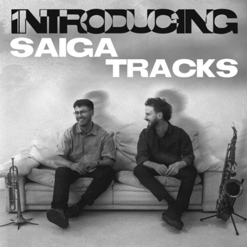 Saiga Tracks, Josh Short, Mike Anning - Introducing Saiga Tracks (2025) [Hi-Res]