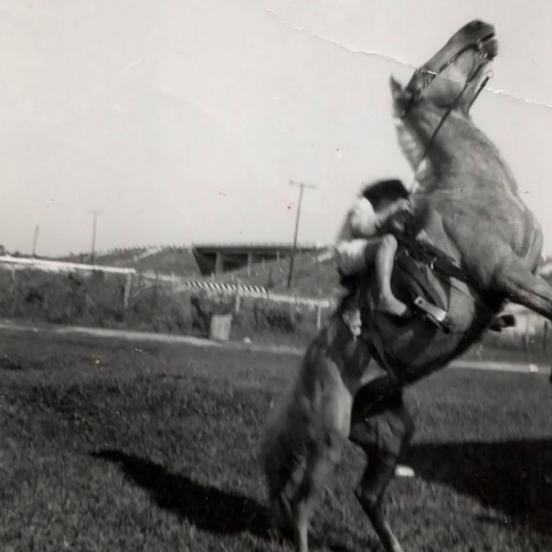 DeLoyd Elze - A Horse Named Proletariat (Extended) (2025) [Hi-Res]