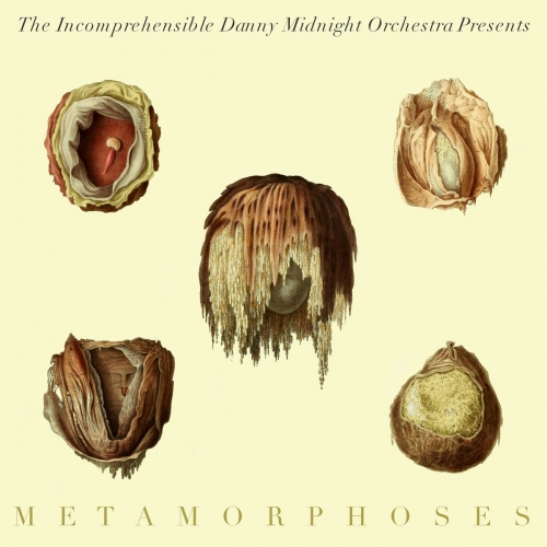 The Incomprehensible Danny Midnight Orchestra - Metamorphoses (2025) [Hi-Res]