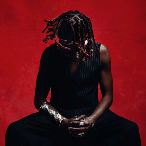 Veeko - HOUSE OF BIRDS (2025) [Hi-Res]