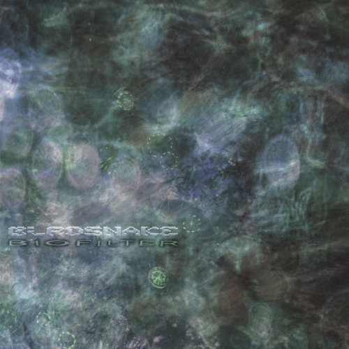 Birdsnake - Biofilter (2025) [Hi-Res]