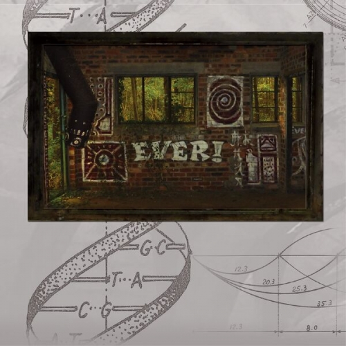 Inclusion Principle - Third Opening (2020) [Hi-Res]