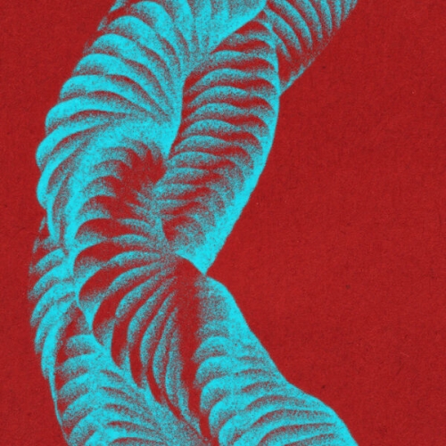 Jon Henriksson, Pelle von Bülow, Rasmus Holm - Monkurt (2026) [Hi-Res]