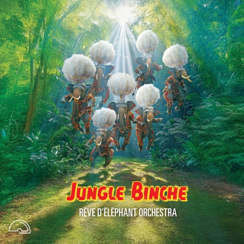 Rêve D'éléphant Orchestra - Jungle Binche (2026)