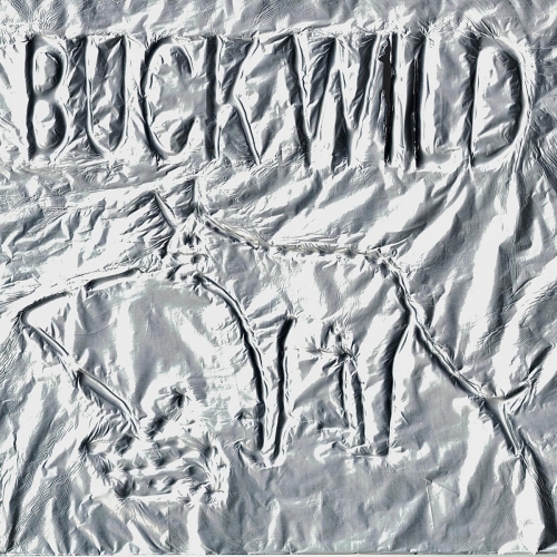 Karshni - BUCK WILD (2026)