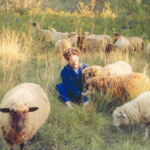 Resavoir - Themes for Dreams (2026) [Hi-Res]