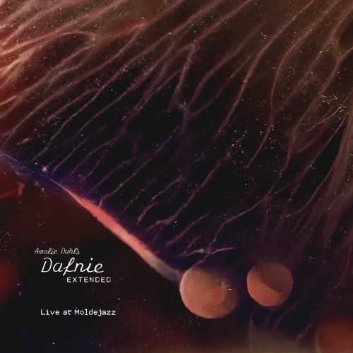 Amalie Dahl’s Dafnie - Live at Moldejazz (2026) [Hi-Res]