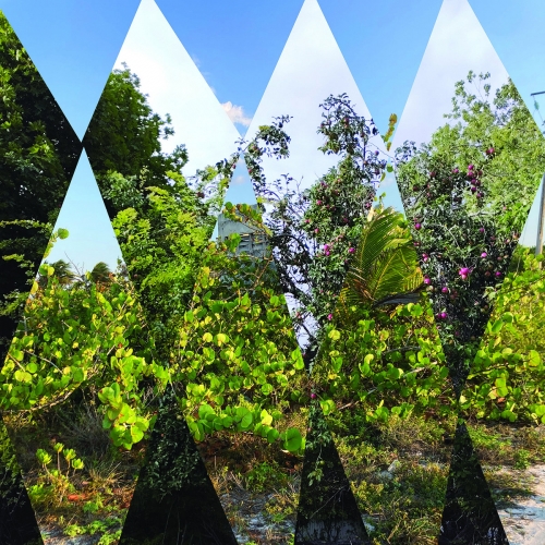 Ryan Blotnick - The Woods (2026) [Hi-Res]