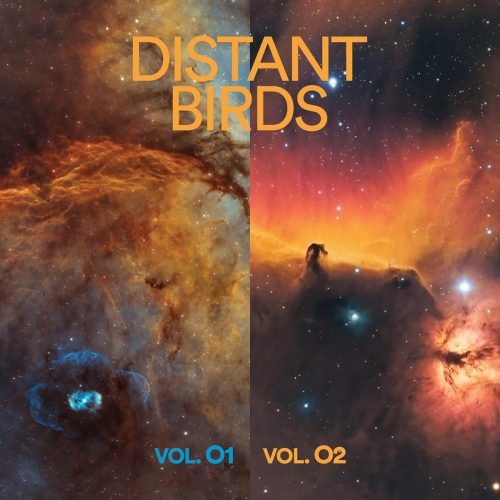 Distant Birds - VOL. 01 & 02 (2026) [Hi-Res]