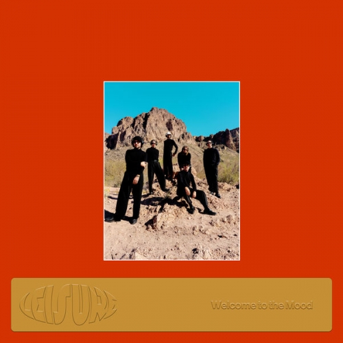 Leisure - Welcome to the Mood (Special Edition) (2026) [Hi-Res]