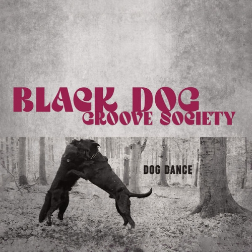 Black Dog Groove Society - Dog Dance (2026) [Hi-Res]