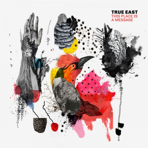 True East - This Place is a Message (2026) [Hi-Res]