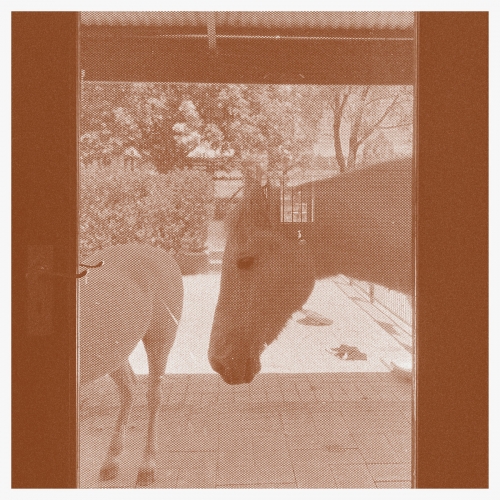 J.WLSN, Liam Keenan - Country/The Country (2026) [Hi-Res]