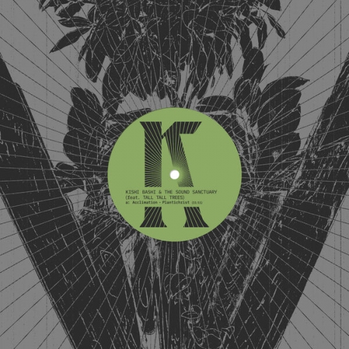Kishi Bashi, Tall Tall Trees & The Sound Sanctuary - Kishi Bashi & Tall Tall Trees & The Sound Sanctuary (2026) [Hi-Res]