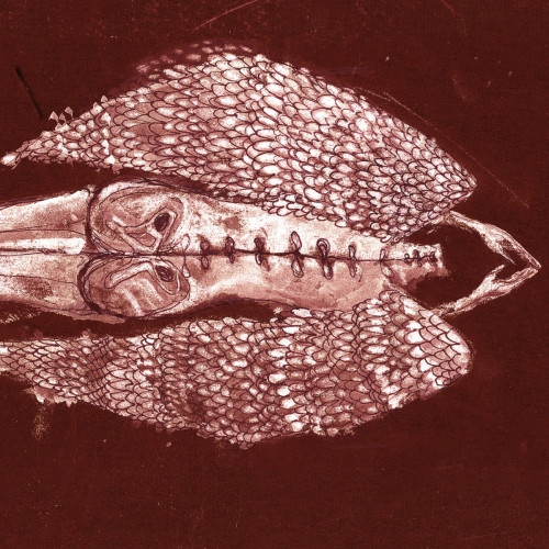 Cerberus Shoal - Homb (1999)