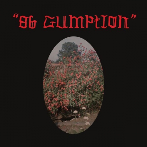 The Roseline - 86 Gumption (2026) [Hi-Res]
