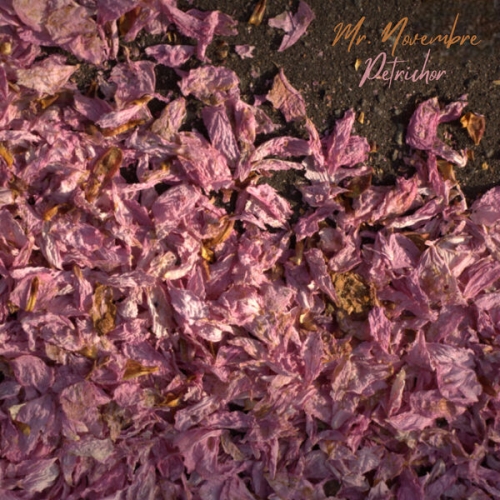 Mr. Novembre - Petrichor (2026)