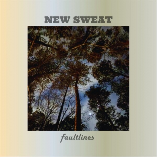 New Sweat - Faultlines (2026)