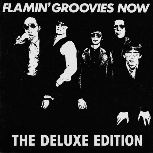 Flamin' Groovies - Flamin' Groovies Now - The Deluxe Edition (2026)