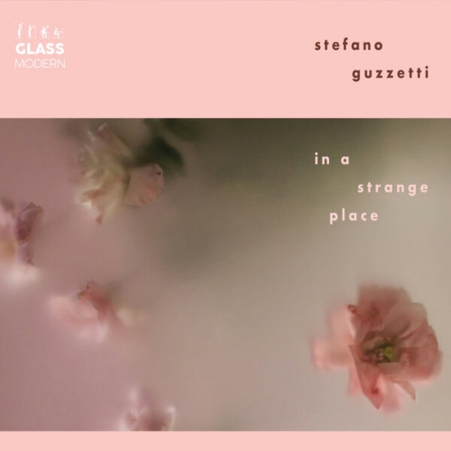 Stefano Guzzetti - In A Strange Place (2026) [Hi-Res]