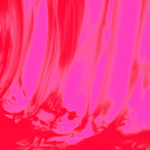 Ty Segall - Love Fuzzz (2026) [Hi-Res]