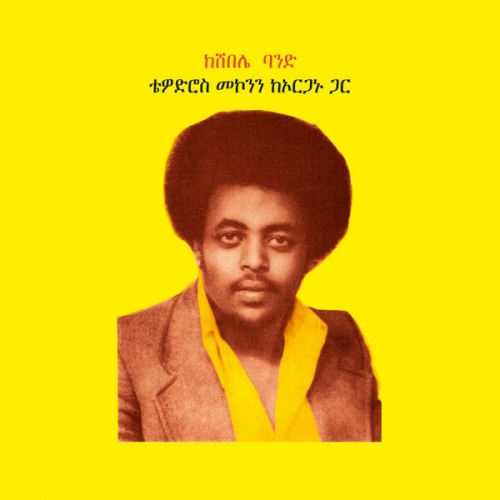 Teodros Makonnen - Teodros Makonnen With His Organ (2026) [Hi-Res]