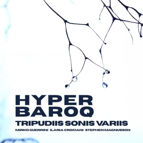 Mirko Guerrini, Hyperbaroq, Stephen Magnusson, Ilaria Crociani - Tripudiis Sonis Variis (2026) [Hi-Res]